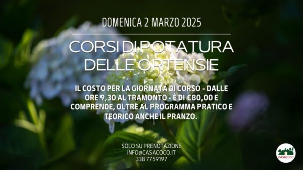 domenica-2-marzo-ortensie