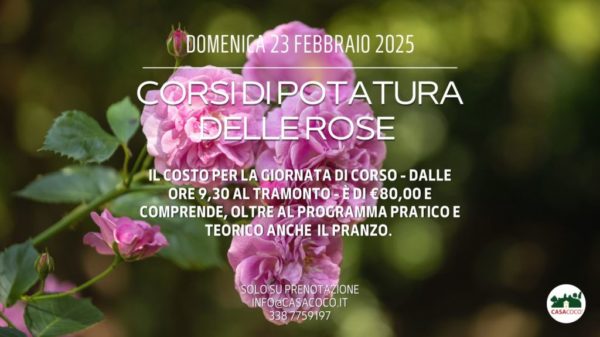 domenica-23-febbraio-2025-rose